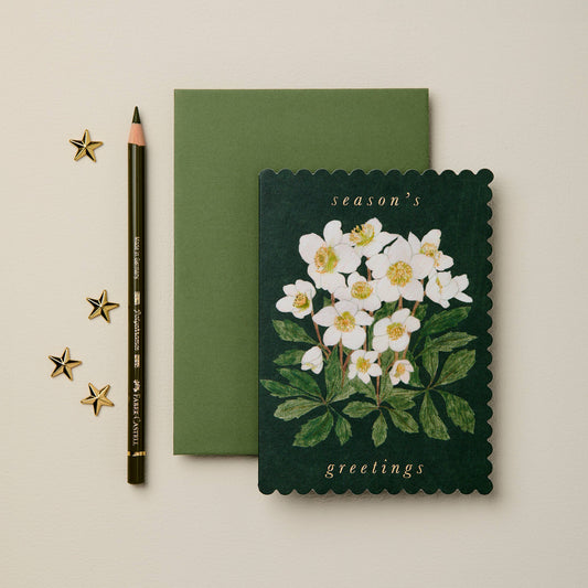 Hellebore 'Season's Greetings' Card