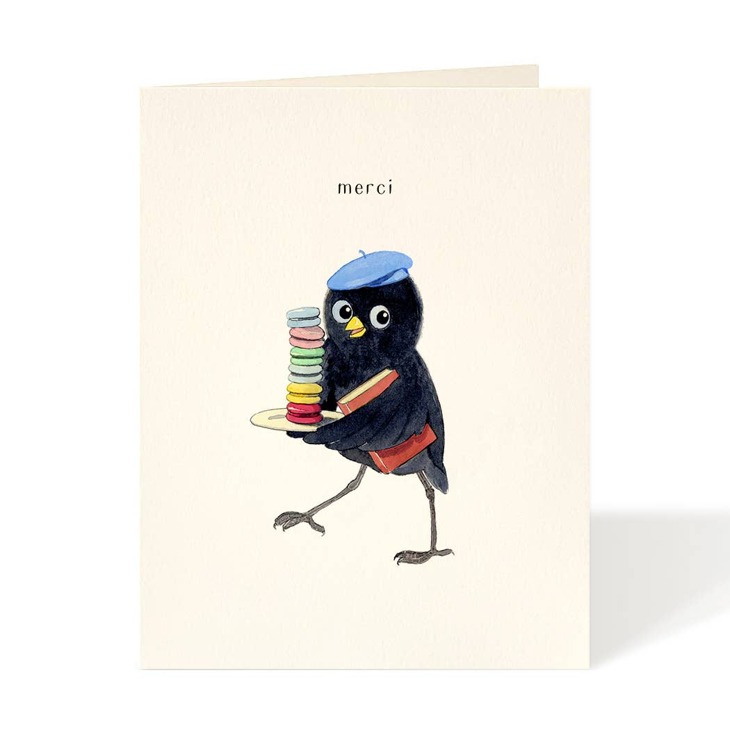 Macaron Merci - Thank You Card: Box of 8 Occasion Cards