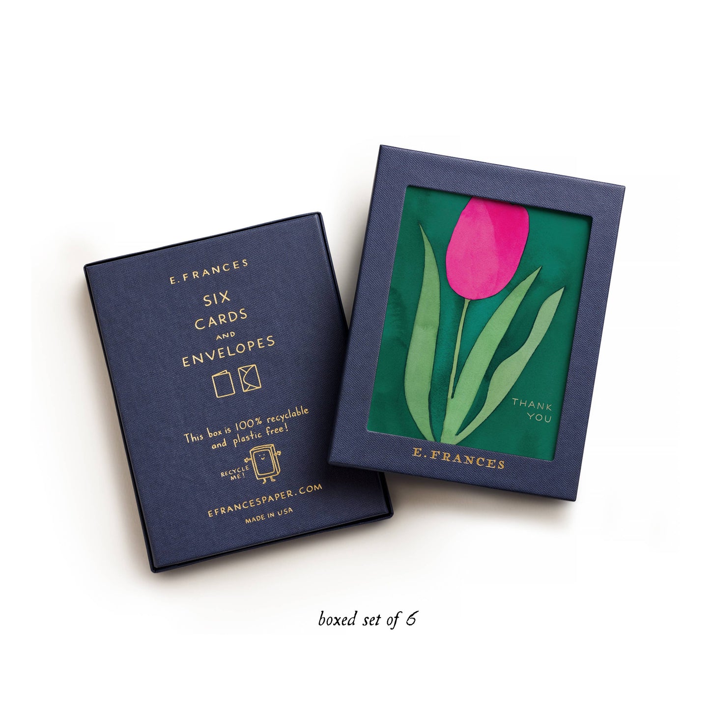 Pink Tulip Thank You Cards – Boxed Set of 6 Notes