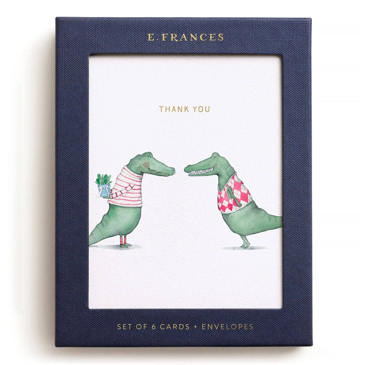 Alligator Thank You Boxed Card Set