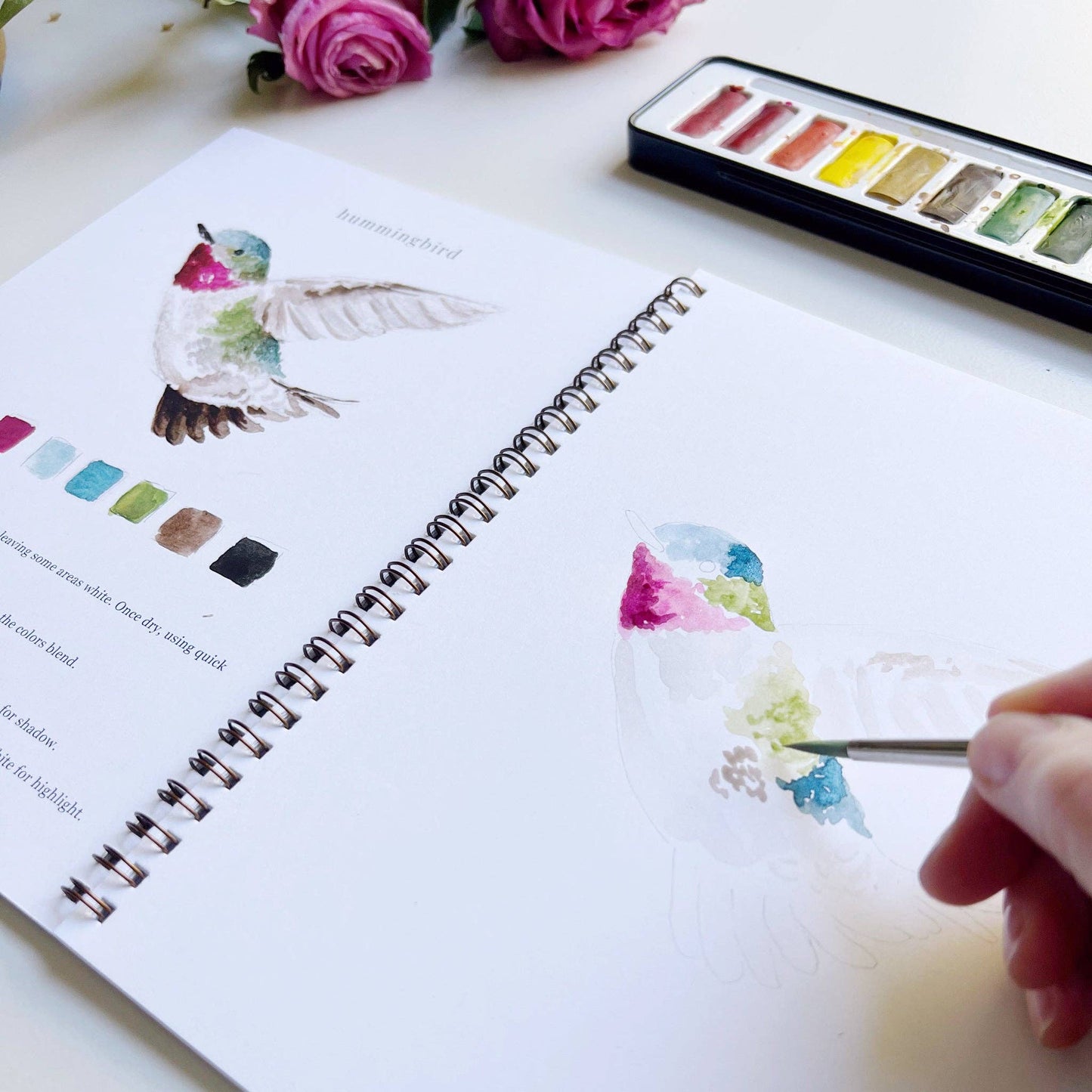 Birds watercolor workbook