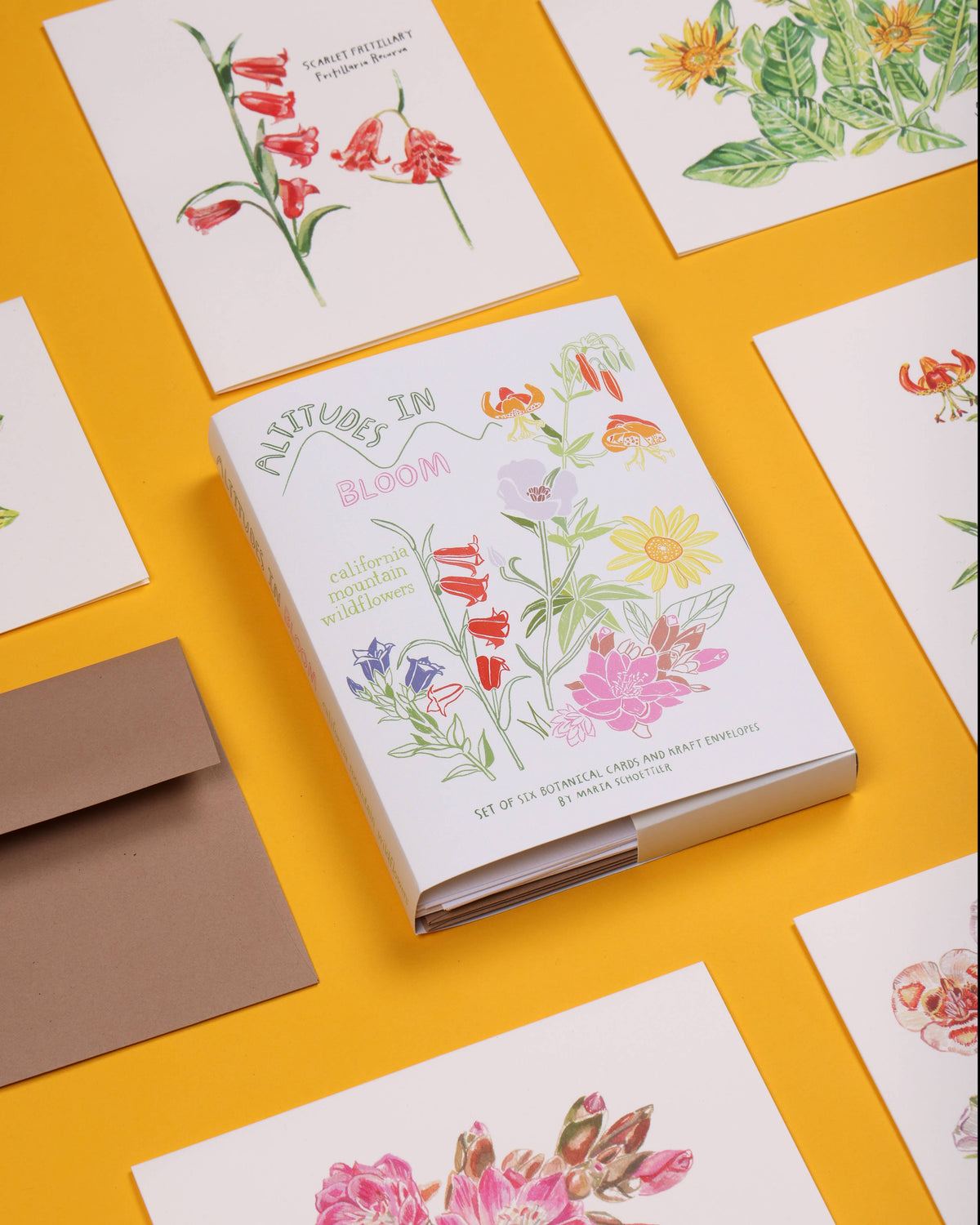 Altitudes in Bloom Card Set of 6