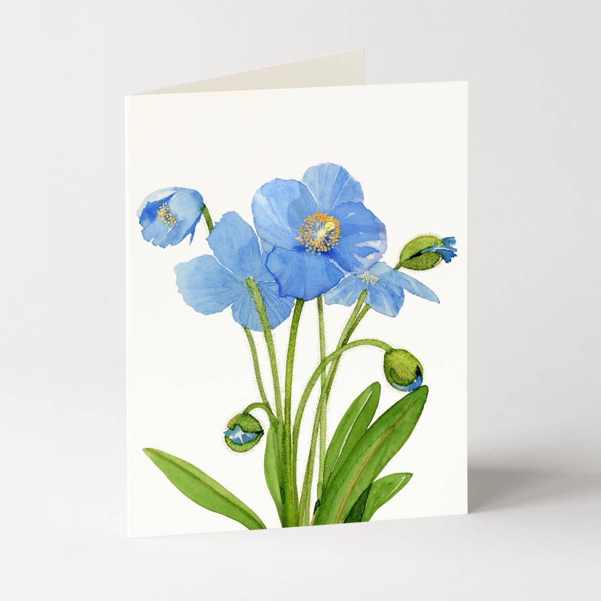 Blue Poppies - Flower Boxed Greeting Cards