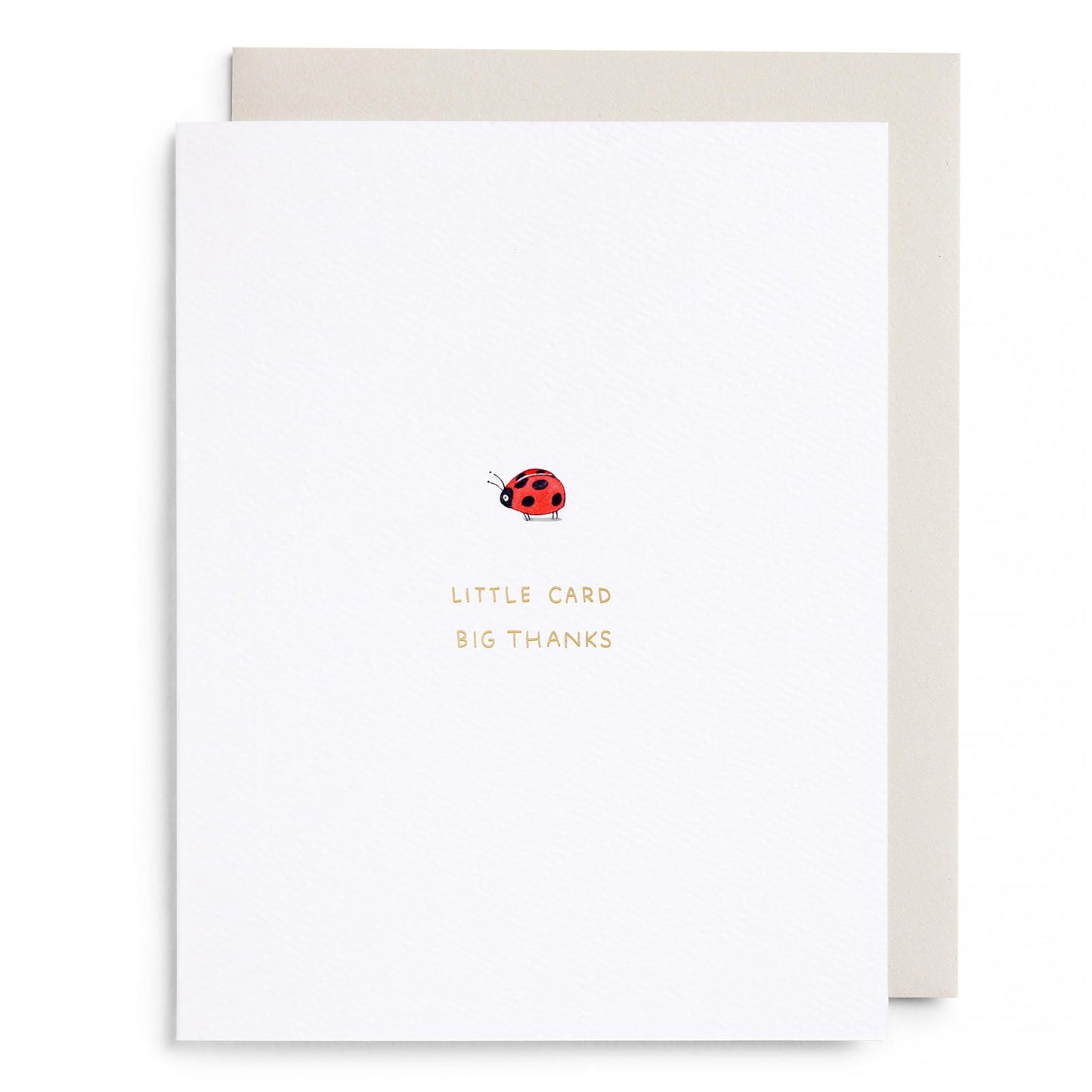 Little Card Big Thanks Greeting Card