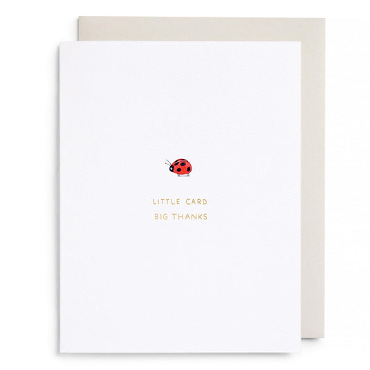 Little Card Big Thanks Greeting Card