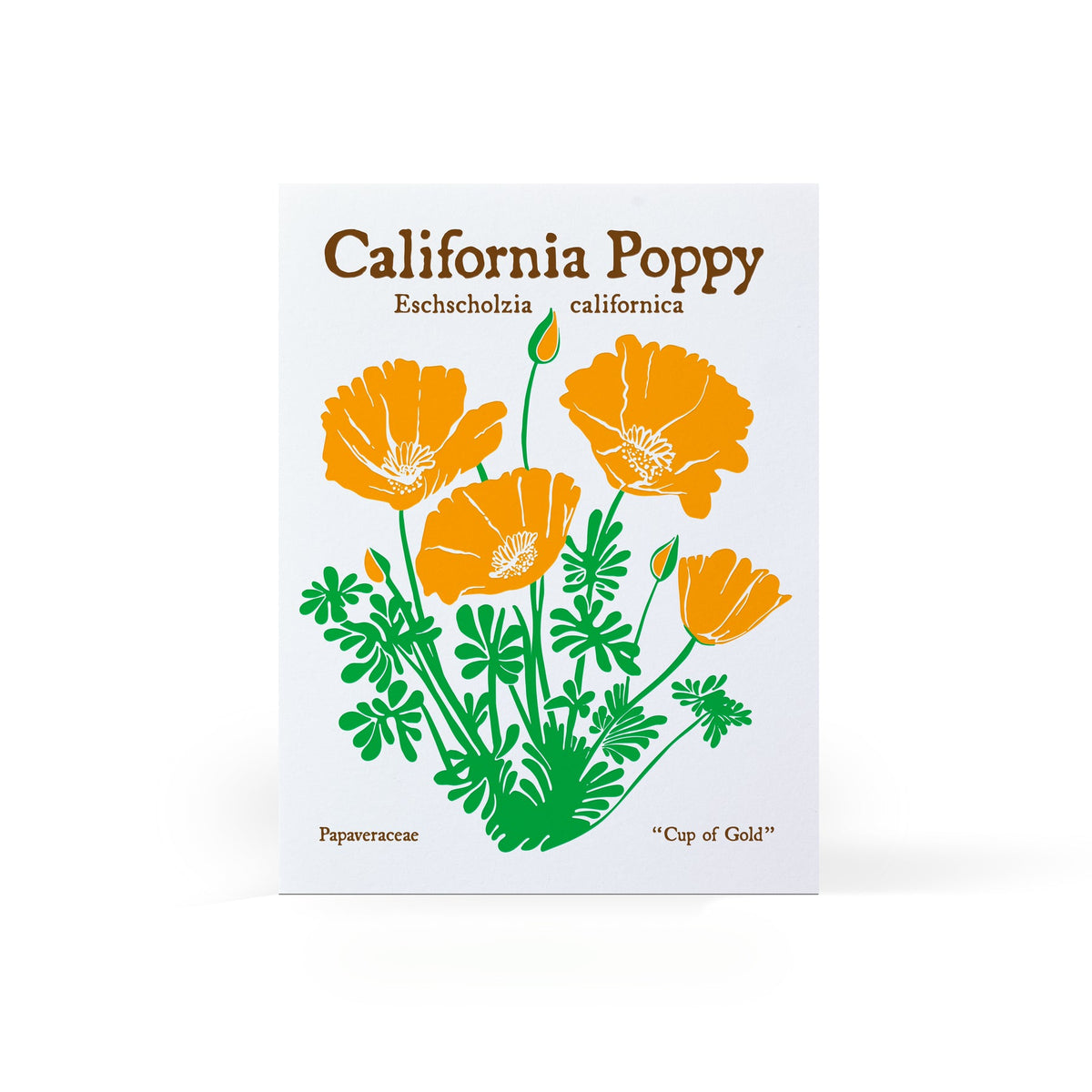Poppy Seeds California Letterpress Card